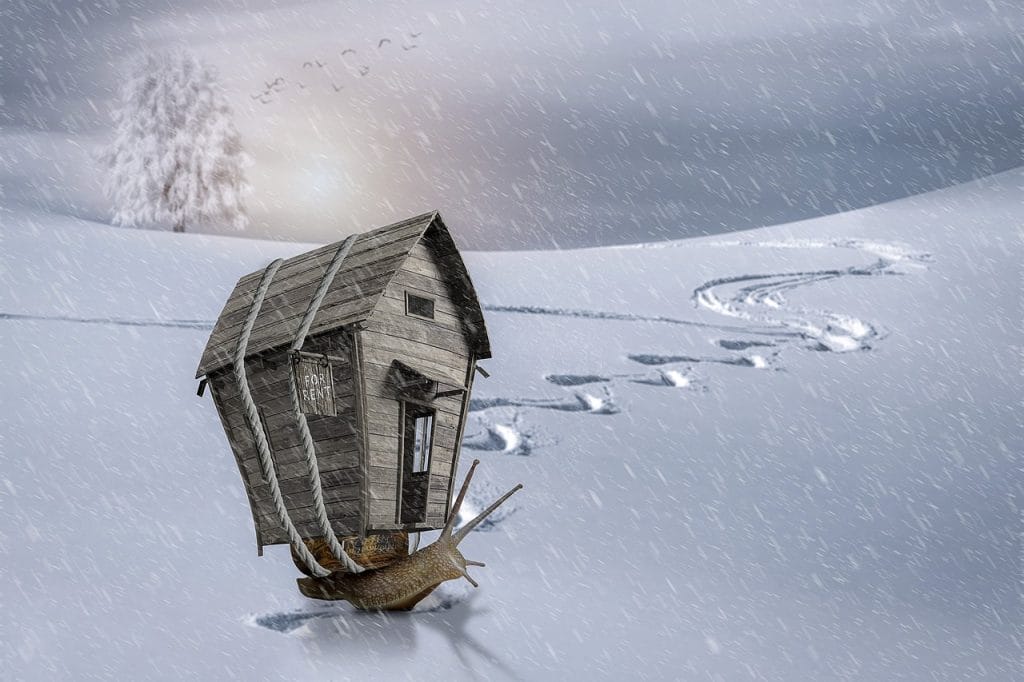 manipulation, snail, nature, animal, wintry, winter, skiing, for rent, rope, birds, manipulation, manipulation, snail, snail, skiing, skiing, skiing, skiing, skiing, for rent, for rent, for rent, for rent, for rent